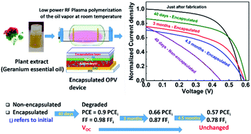 Graphical abstract: Sustainable plasma polymer encapsulation materials for organic solar cells