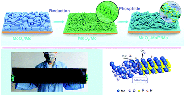 Graphical abstract: Large-scale production of a low-cost molybdenum dioxide–phosphide seamless electrode for high-current-density hydrogen evolution