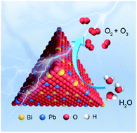 Graphical abstract: Weak Pb–O of confined [Pb–O4] in pyramidal sillenite-type Bi12PbO20 for enhanced electrochemical ozone production