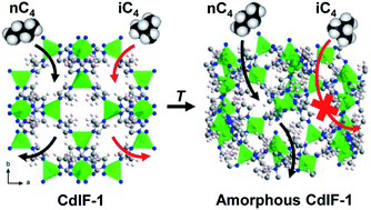 Graphical abstract: Effective aperture tuning of a zeolitic-imidazole framework CdIF-1 by controlled thermal amorphization