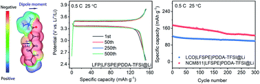 Graphical abstract: Long-chain fluorocarbon-driven hybrid solid polymer electrolyte for lithium metal batteries