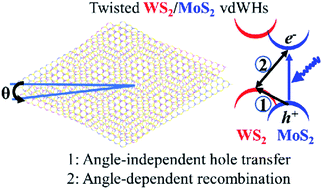 Graphical abstract: The twist angle has weak influence on charge separation and strong influence on recombination in the MoS2/WS2 bilayer: ab initio quantum dynamics