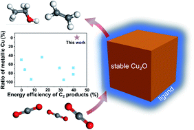 Graphical abstract: Dynamic determination of Cu+ roles for CO2 reduction on electrochemically stable Cu2O-based nanocubes