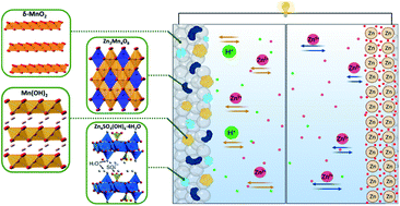 Graphical abstract: A two-electron transfer mechanism of the Zn-doped δ-MnO2 cathode toward aqueous Zn-ion batteries with ultrahigh capacity