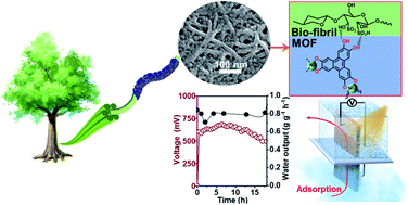 Synergetic and persistent harvesting of electricity and potable water from ambient moisture with biohybrid fibrils,Journal of Materials Chemistry A,2022,Xiao Han, Weihua Zhang, Xinpeng Che, Lifen Long, Mingjie Li, Chaoxu Li,DOI:10.1039/D1TA10865D