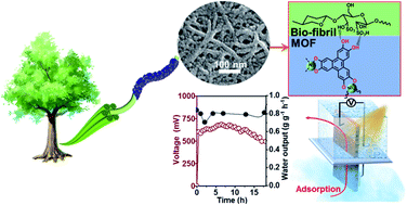 Graphical abstract: Synergetic and persistent harvesting of electricity and potable water from ambient moisture with biohybrid fibrils