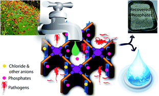 Graphical abstract: Antimicrobial two-dimensional covalent organic nanosheets (2D-CONs) for the fast and highly efficient capture and recovery of phosphate ions from water