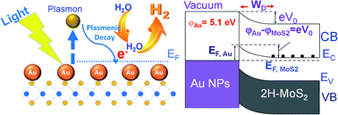 Graphical abstract: Plasmonic hot-electron assisted phase transformation in 2D-MoS2 for the hydrogen evolution reaction: current status and future prospects