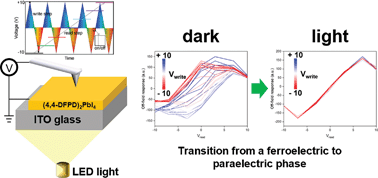 Graphical abstract: Light–ferroelectric interaction in two-dimensional lead iodide perovskites