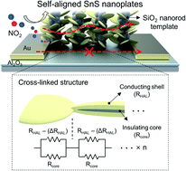 Graphical abstract: Cross-linked structure of self-aligned p-type SnS nanoplates for highly sensitive NO2 detection at room temperature