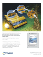 Graphical abstract: Back cover