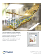 Graphical abstract: Inside back cover