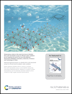 Graphical abstract: Back cover