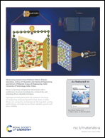 Graphical abstract: Inside back cover