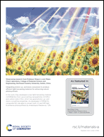 Graphical abstract: Inside back cover