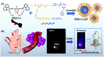 Graphical abstract: An anti-aggregation NIR-II heptamethine-cyanine dye with a stereo-specific cyanine for imaging-guided photothermal therapy
