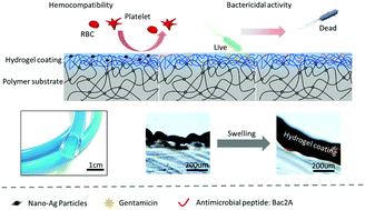 Graphical abstract: A conformally adapted all-in-one hydrogel coating: towards robust hemocompatibility and bactericidal activity