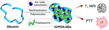 Graphical abstract: Biomineralized iron oxide–polydopamine hybrid nanodots for contrast-enhanced T1-weighted magnetic resonance imaging and photothermal tumor ablation