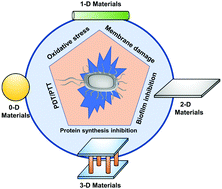 Graphical abstract: Low-dimensional nanomaterials for antibacterial applications