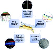 Graphical abstract: Flow-assembled chitosan membranes in microfluidics: recent advances and applications