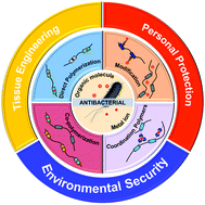 Graphical abstract: Polymeric antibacterial materials: design, platforms and applications