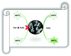 Graphical abstract: Tailoring cysteine detection in colorimetric techniques using Co/Fe-functionalized mesoporous silica nanoparticles