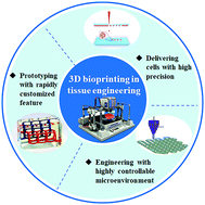 Graphical abstract: Applications of 3D bioprinting in tissue engineering: advantages, deficiencies, improvements, and future perspectives