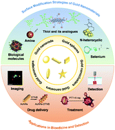 Graphical abstract: Surface engineering strategies of gold nanomaterials and their applications in biomedicine and detection