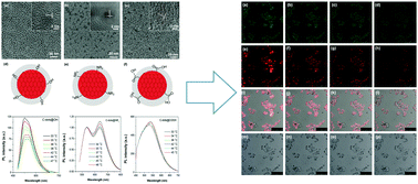 Graphical abstract: Highly efficient ratiometric nanothermometers based on colloidal carbon quantum dots