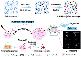 Graphical abstract: A Bi2S3-embedded gellan gum hydrogel for localized tumor photothermal/antiangiogenic therapy