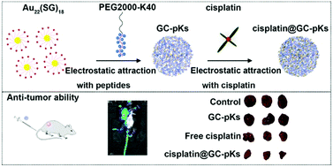Graphical abstract: Enhancement of gold-nanocluster-mediated chemotherapeutic efficiency of cisplatin in lung cancer