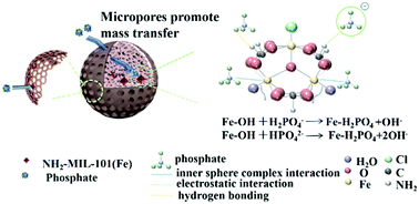 Graphical abstract: Targeted perfusion adsorption for hyperphosphatemia using mixed matrix microspheres (MMMs) encapsulated NH2-MIL-101(Fe)