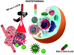 Graphical abstract: PEG–PEI-modified gated N-doped mesoporous carbon nanospheres for pH/NIR light-triggered drug release and cancer phototherapy