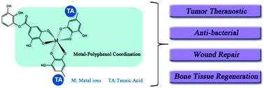 Graphical abstract: Tannic acid-based metal phenolic networks for bio-applications: a review