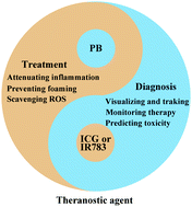 Graphical abstract: Theranostics of atherosclerosis by the indole molecule-templated self-assembly of probucol nanoparticles