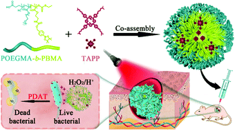 Graphical abstract: A pH/H2O2 dual triggered nanoplatform for enhanced photodynamic antibacterial efficiency