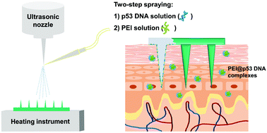 Graphical abstract: A gene-coated microneedle patch based on industrialized ultrasonic spraying technology with a polycation vector to improve antitumor efficacy