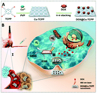 Graphical abstract: Ultra-thin metal–organic framework nanosheets for chemo-photodynamic synergistic therapy