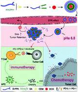 Graphical abstract: A tumor extracellular pH-sensitive PD-L1 binding peptide nanoparticle for chemo-immunotherapy of cancer