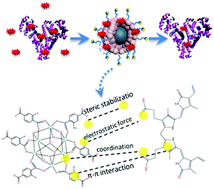 Graphical abstract: Hierarchical core–shell nanoplatforms constructed from Fe3O4@C and metal–organic frameworks with excellent bilirubin removal performance