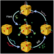 Graphical abstract: Target-triggered and controlled release plasmon-enhanced fluorescent AIE probe for conformational monitoring of insulin fibrillation