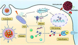 Graphical abstract: Nanoparticle-based drug delivery systems with platinum drugs for overcoming cancer drug resistance