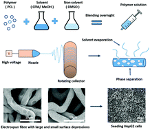 Graphical abstract: Influence of surface topography on PCL electrospun scaffolds for liver tissue engineering