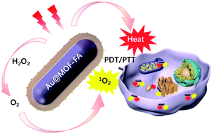 Graphical abstract: Synthesis of Au@MOF core–shell hybrids for enhanced photodynamic/photothermal therapy