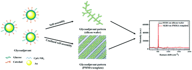 Graphical abstract: Catechol-driven self-assembly to fabricate highly ordered and SERS-active glycoadjuvant patterns