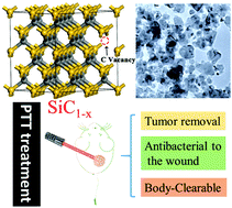 Graphical abstract: Photothermal treatment of oropharyngeal cancer with carbon-defective silicon carbide