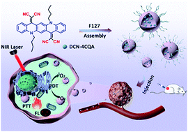 Graphical abstract: An “all-in-one” strategy based on the organic molecule DCN-4CQA for effective NIR-fluorescence-imaging-guided dual phototherapy