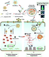 Graphical abstract: Aminopeptidase N-targeting nanomolecule-assisted delivery of VEGF siRNA to potentiate antitumour therapy by suppressing tumour revascularization and enhancing radiation response