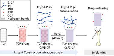 Graphical abstract: Instant hydrogelation encapsulates drugs onto implants intraoperatively against osteoarticular tuberculosis