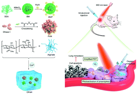 Graphical abstract: Oxygen-producing proenzyme hydrogels for photodynamic-mediated metastasis-inhibiting combinational therapy